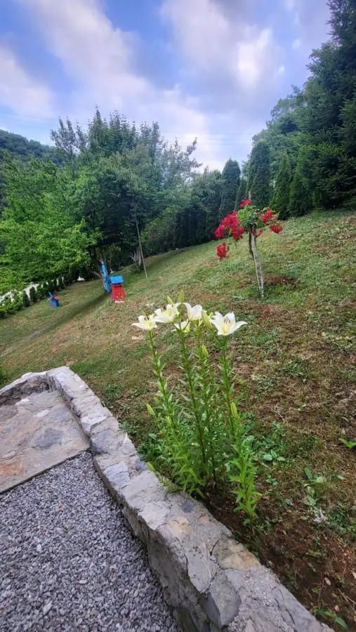 Villa Igmanski san