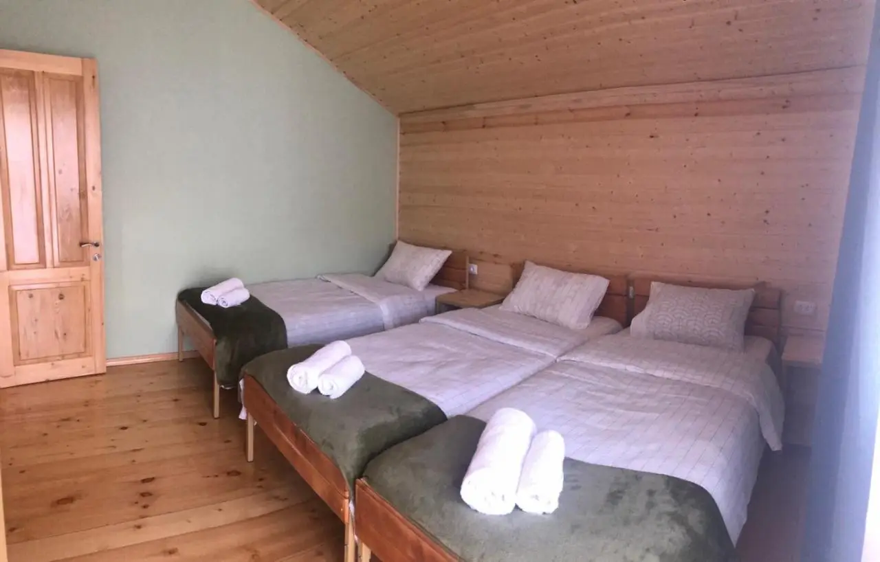 Cozy Place in Kazbegi