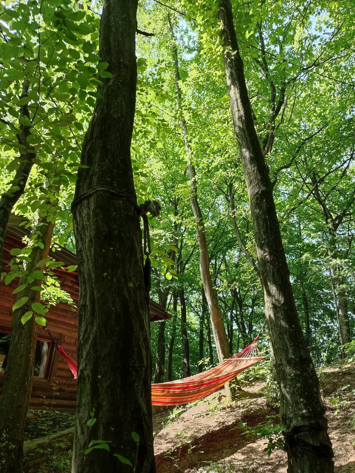 Šumarak Lodge