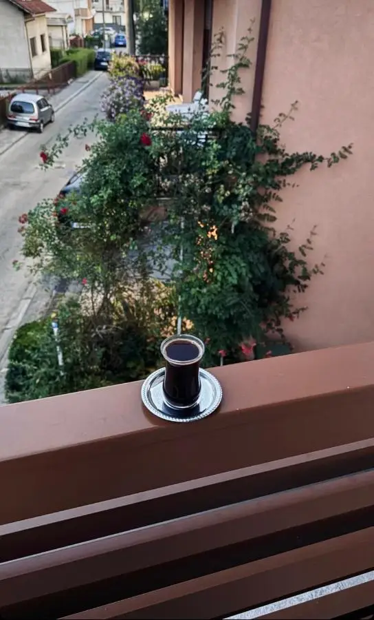 Apartment Alma