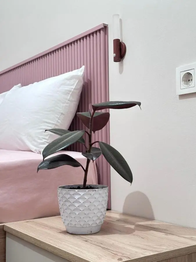 Home Side Apartment