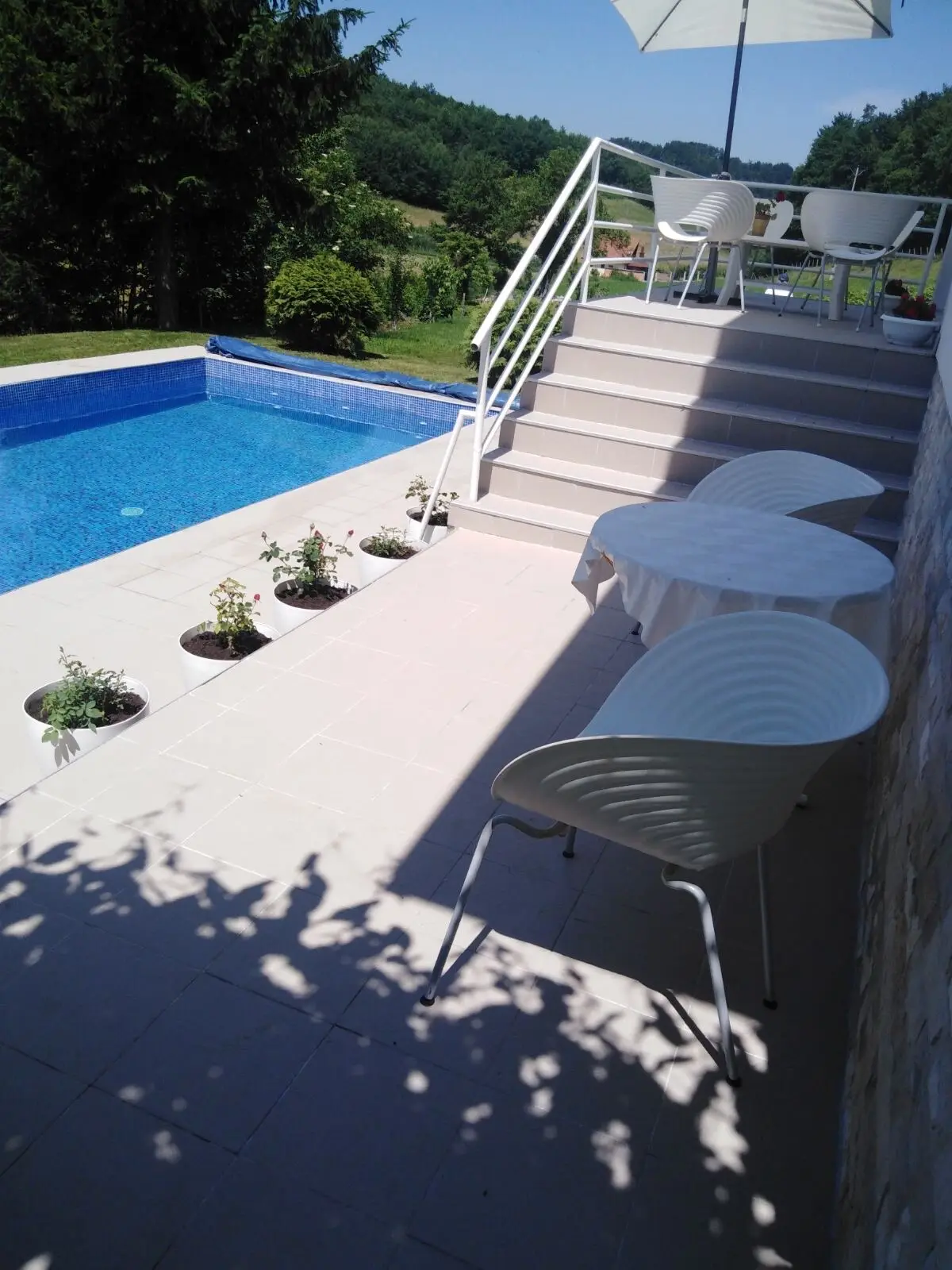 House with a swimming pool