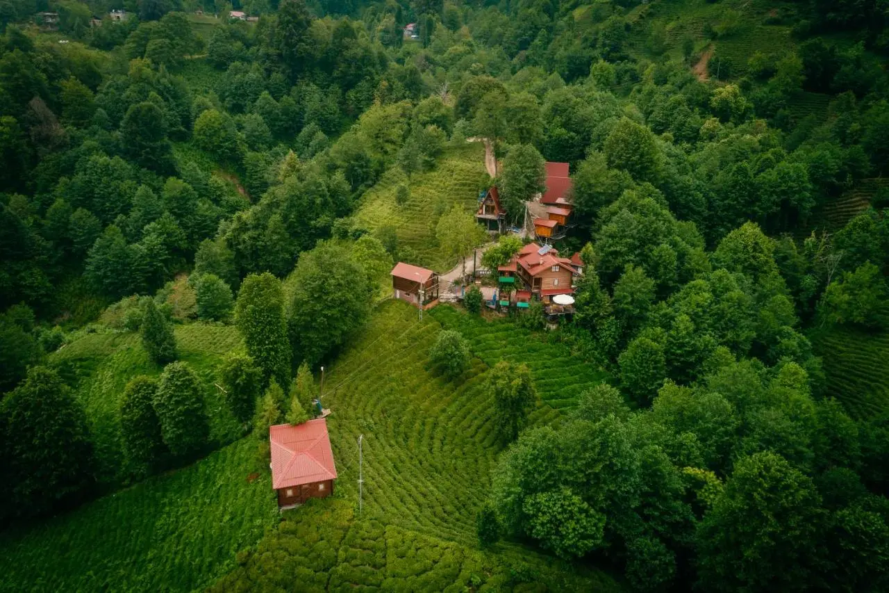 Elagza Dag Evi
