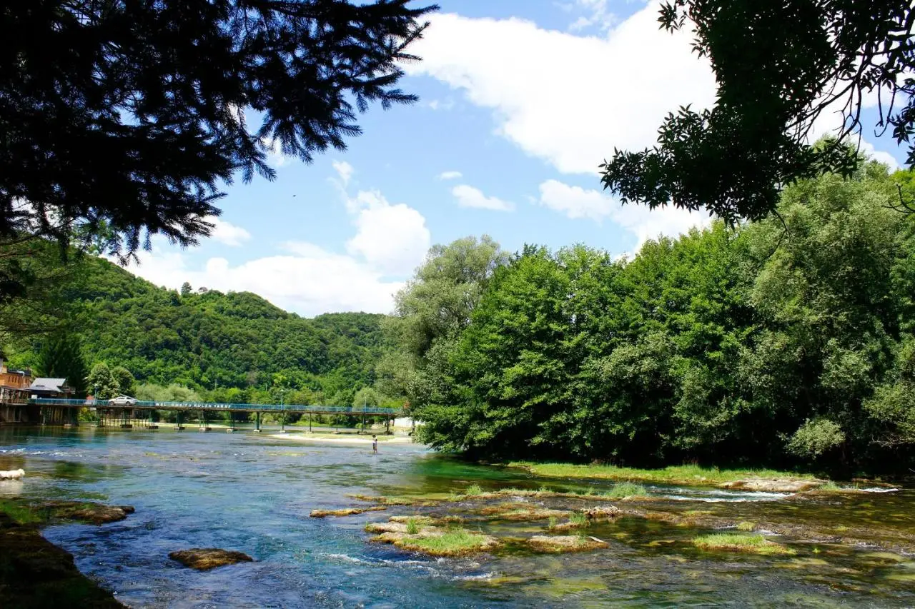 River Nest