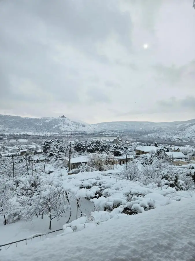 Mtskheta Chalet