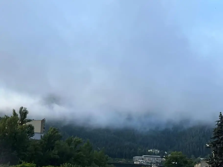 Ana's cosy home in Borjomi center