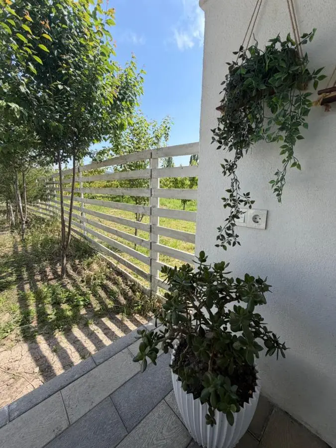Apple Garden Guba