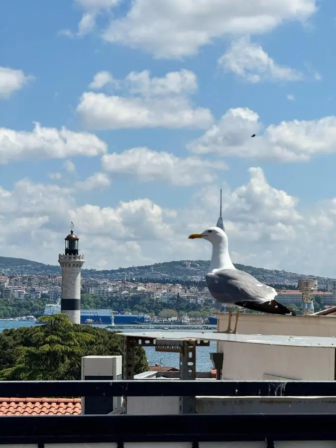 Hotel Ipekyolu