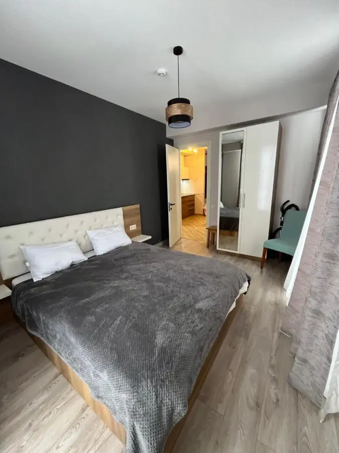 Bakuriani Hotel Apartments 301