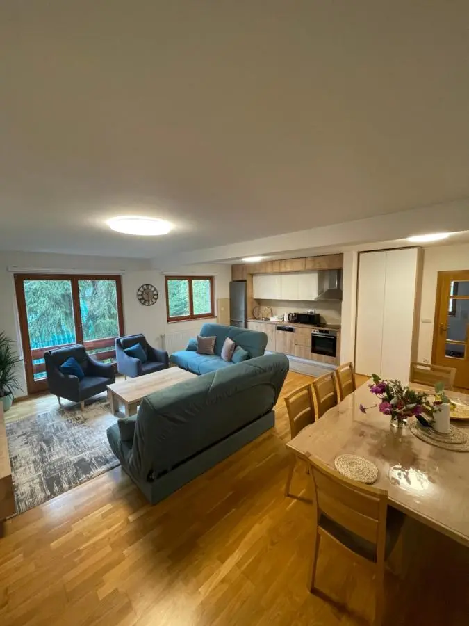 Montis Vlasic Apartment 1