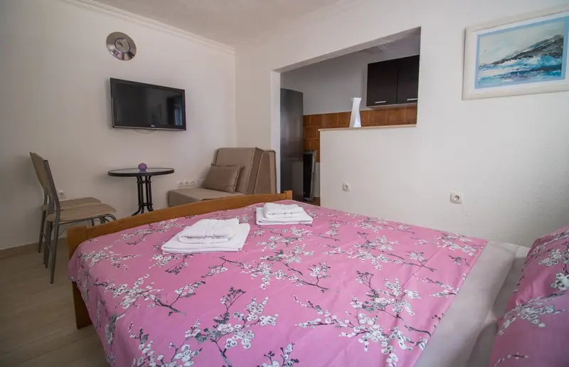 Studio apartment "Cernica"