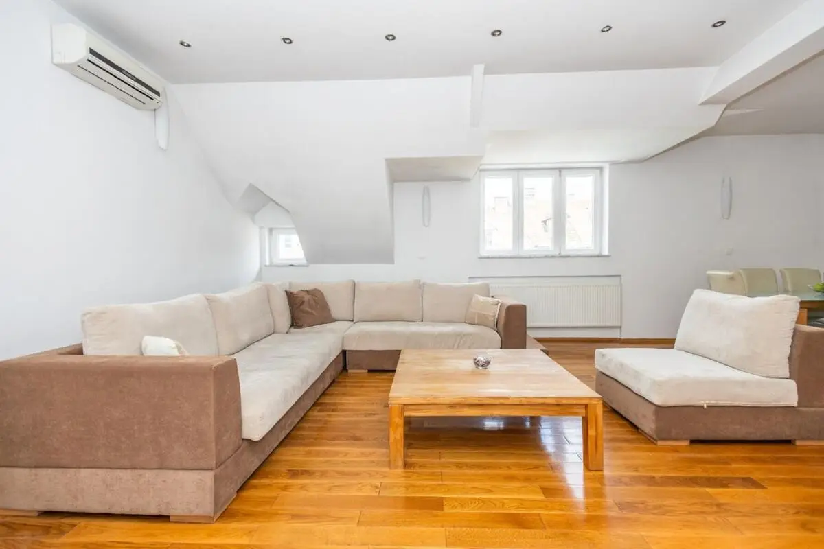 Spacious Apartment in Downtown