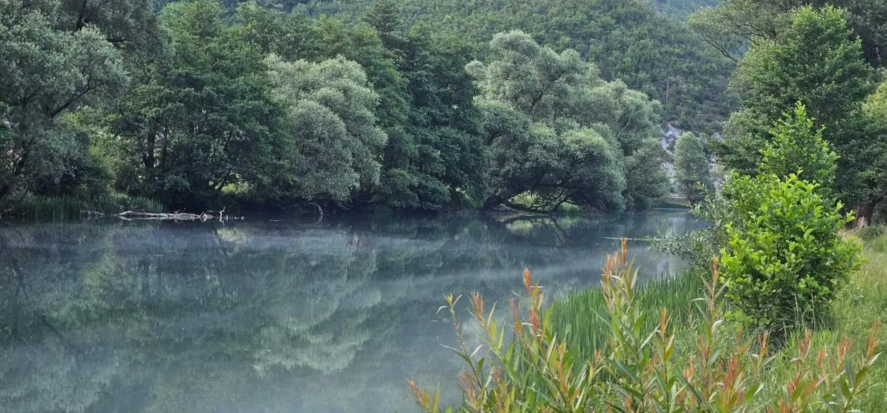 Whisper of the Pliva
