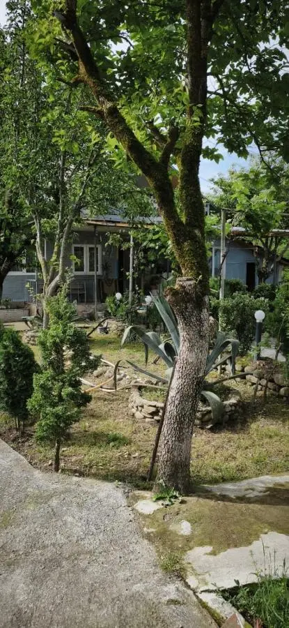 Mera Hostel