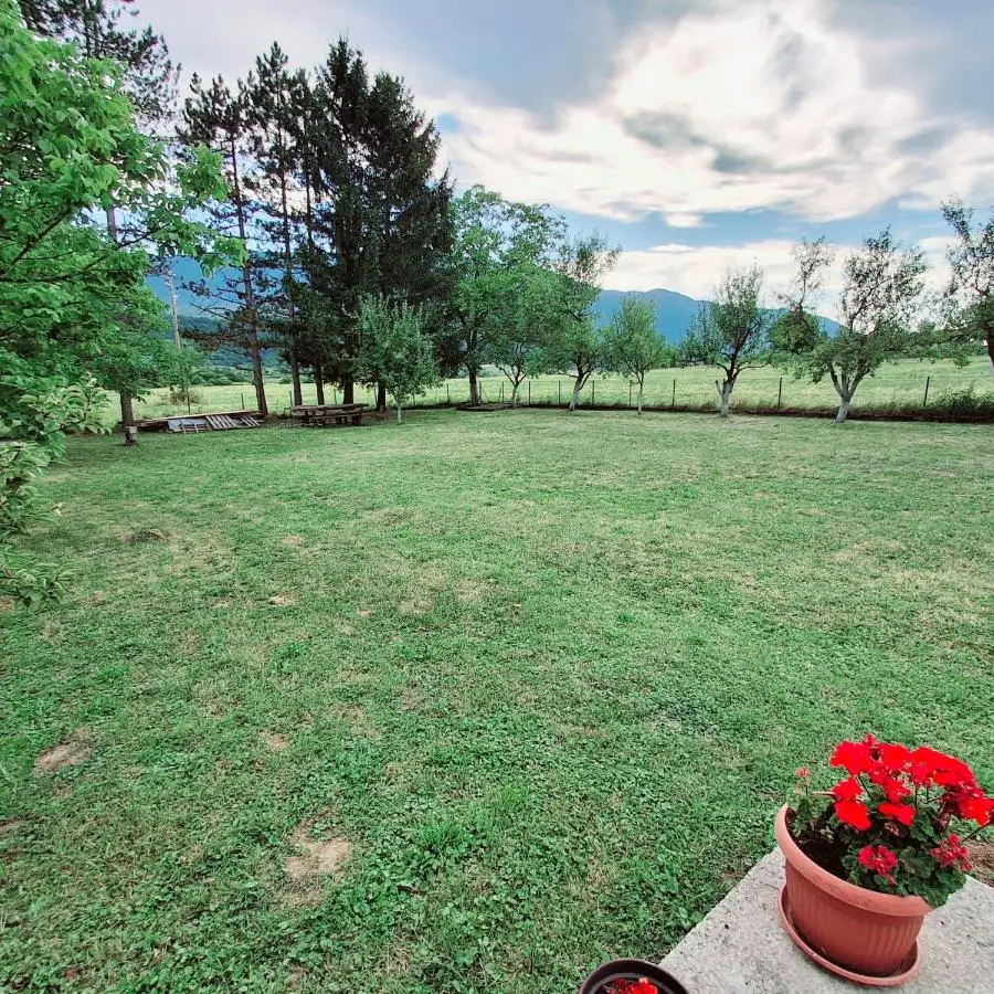 Peace Holiday Home
