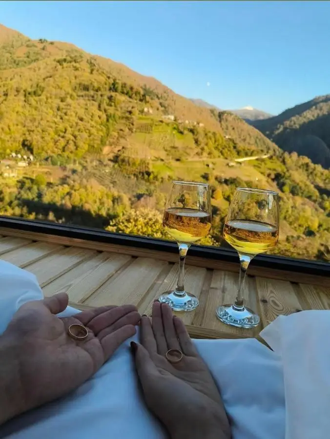 Glass House Merisi