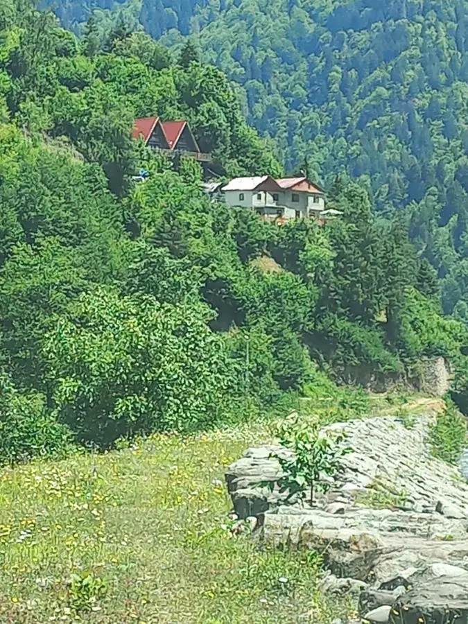 Ladin Dağ evi