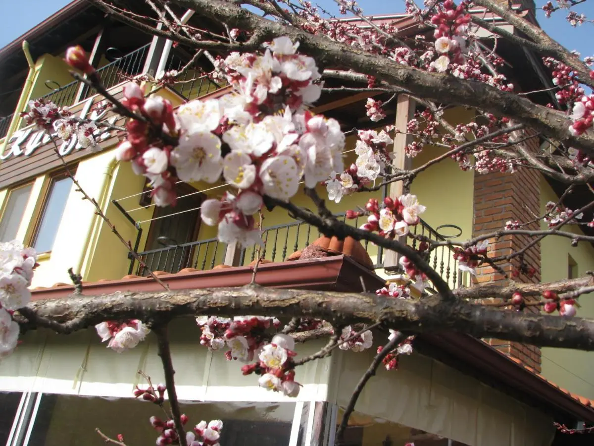 Kybele Hotel Gocek