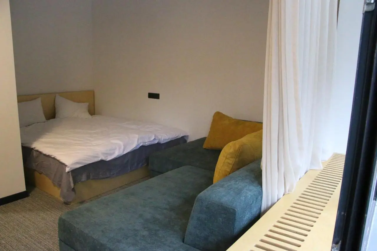 ski-in/ski-out apartment in Bakuriani