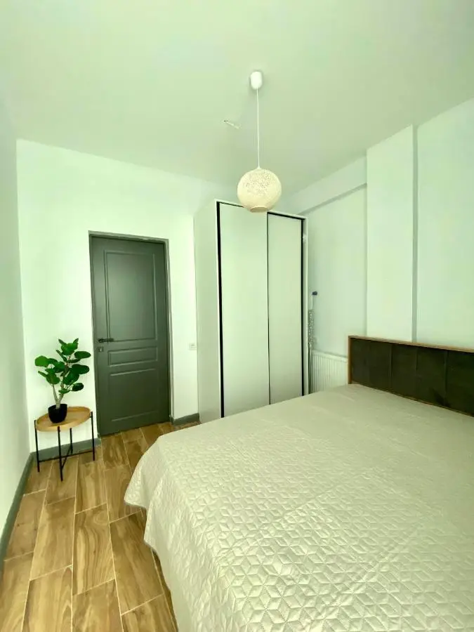 Snow Forest Bakuriani Apartment 10