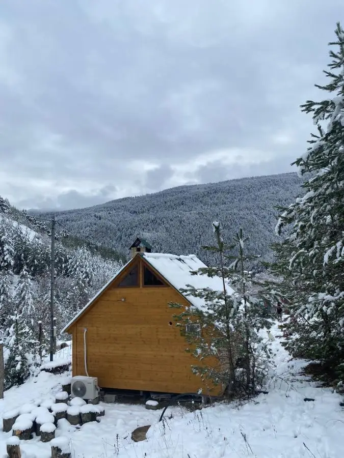 Cozy Cottage Feel Free continental