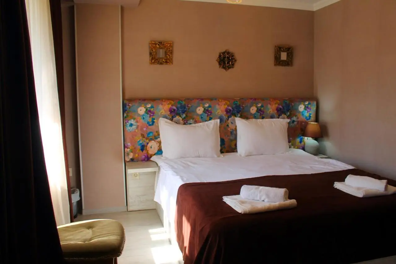 Hotel New Metekhi