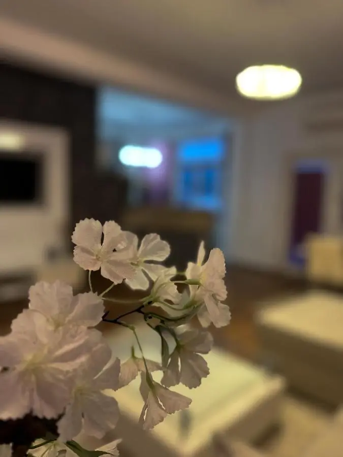 Riaho Apartment