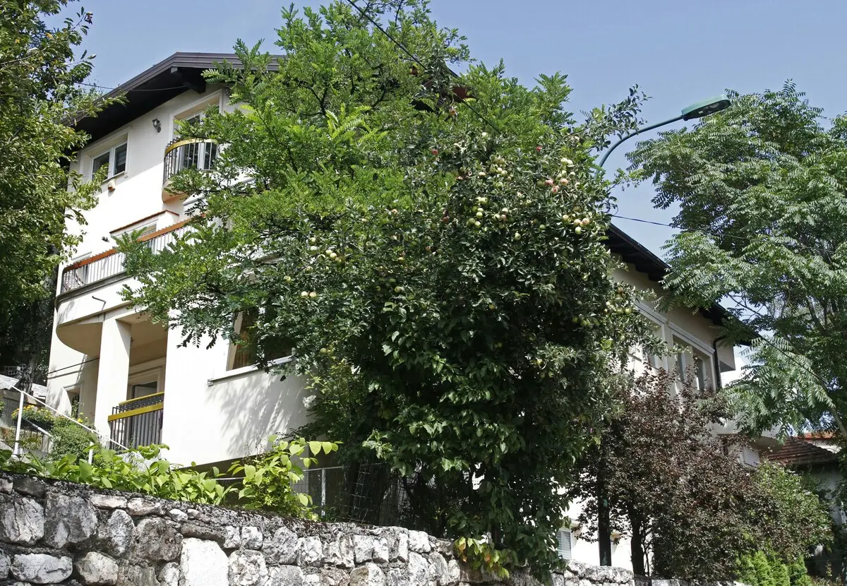 Saray Apartment free street Parking
