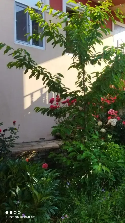 Quba Guest House