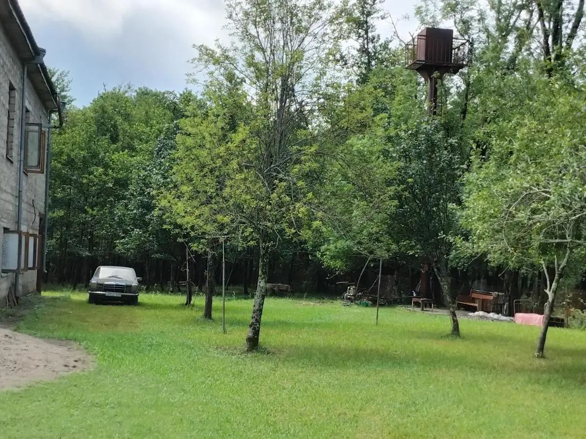 House in the forest