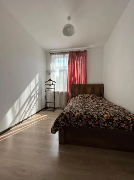 Ana's cosy home in Borjomi center
