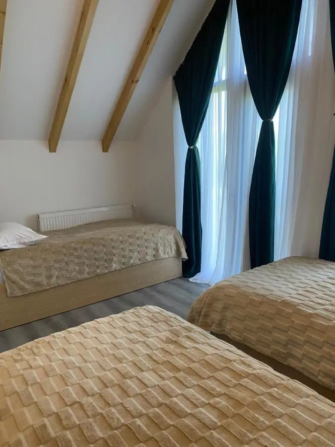 MTA house - Borjomi