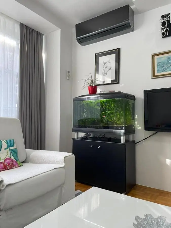 SASE Apartment