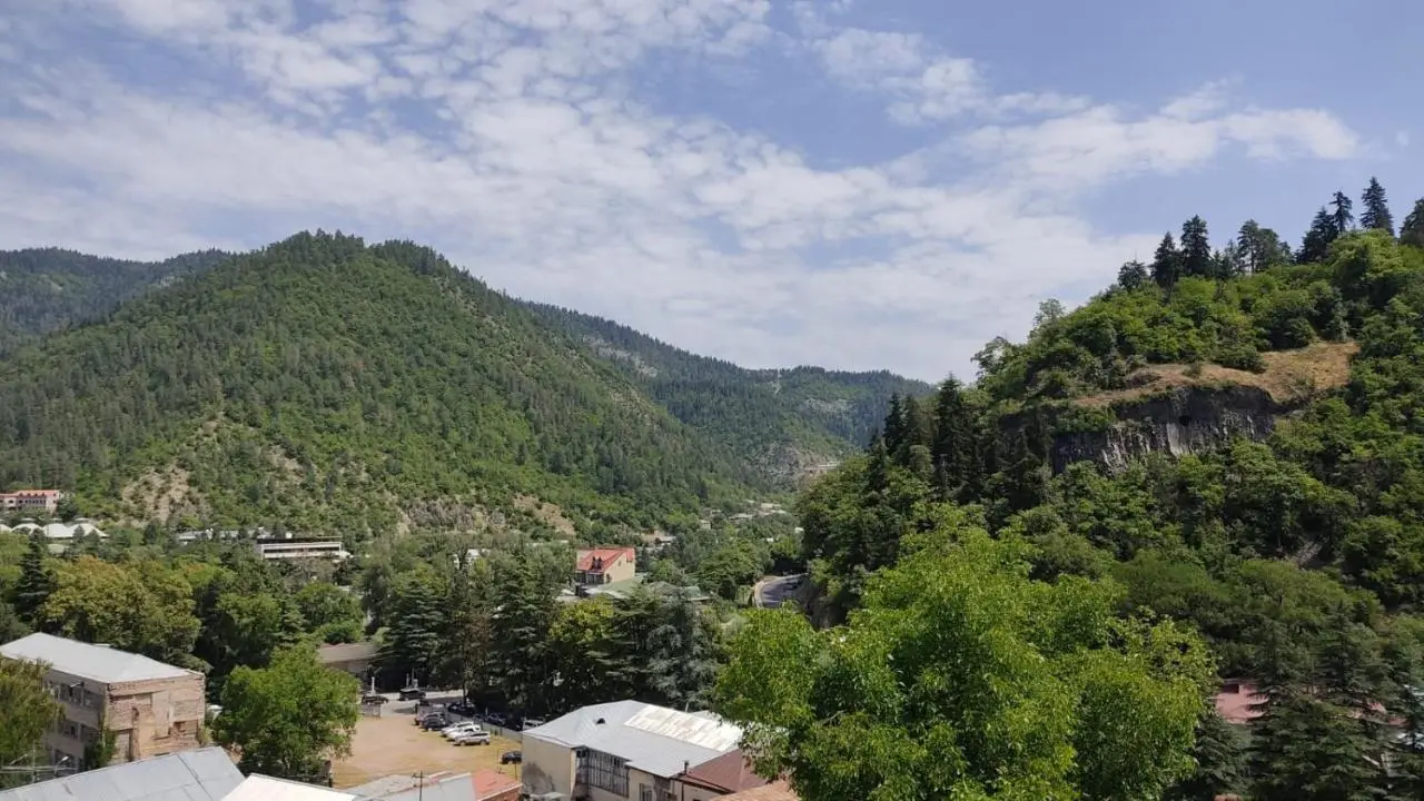 Borjomi Nest