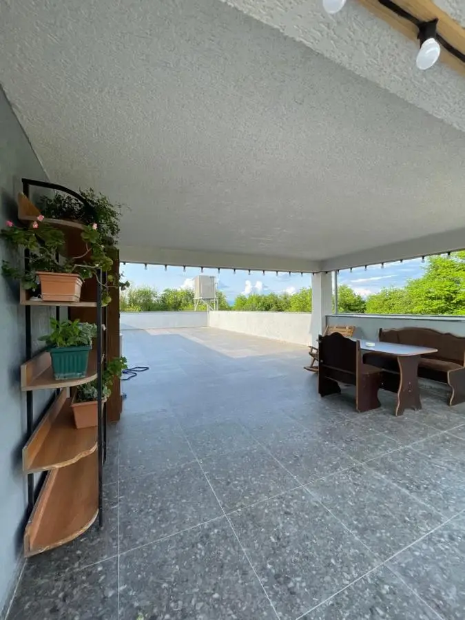 Zaali's wine cellar