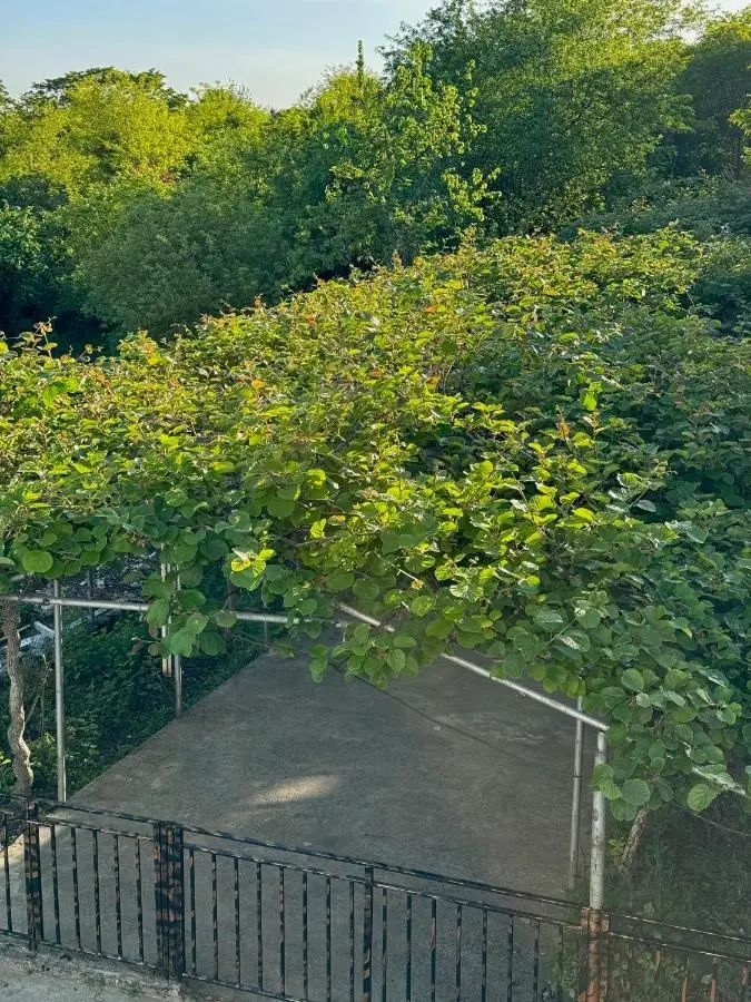 Cottage ,,Okatsia” ოკაციას კოტეჯები