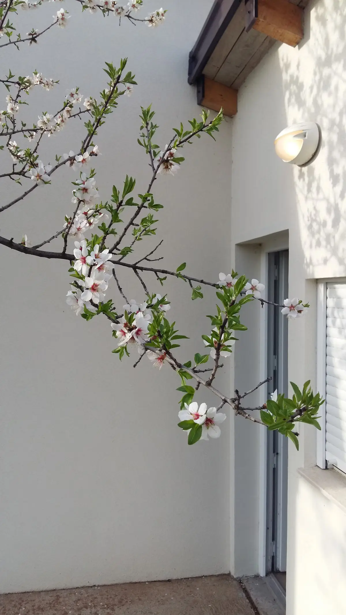 Holiday Home Fig 1