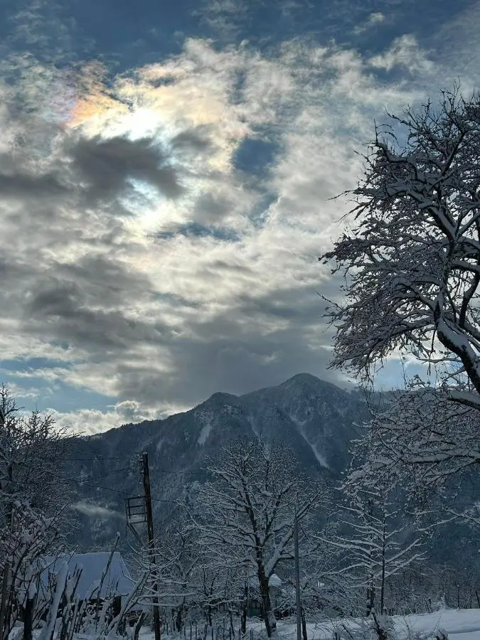 House in The Mountains