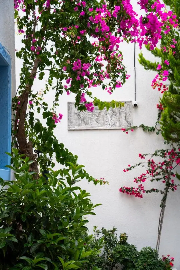 Manuela Boutique Hotel Bitez