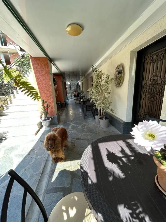 Guest House Panda