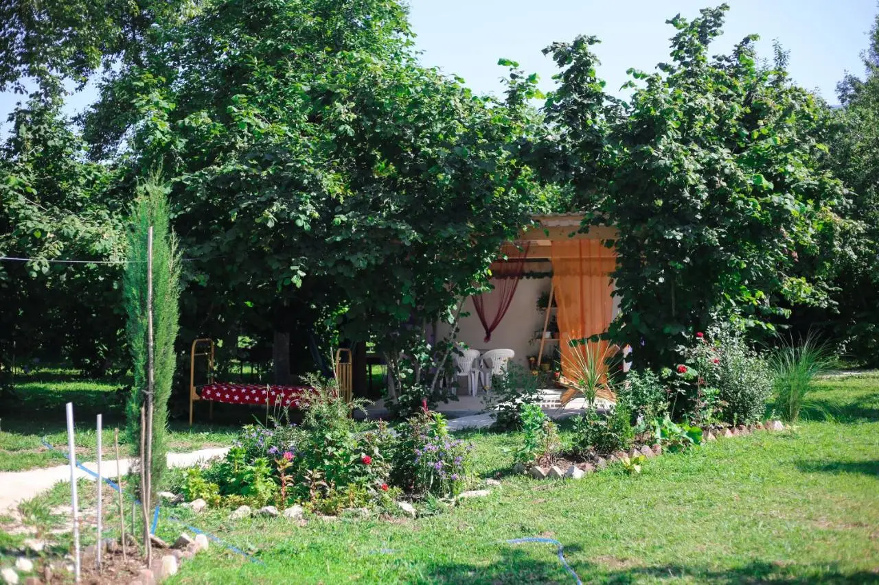 NOVEL HOUSE