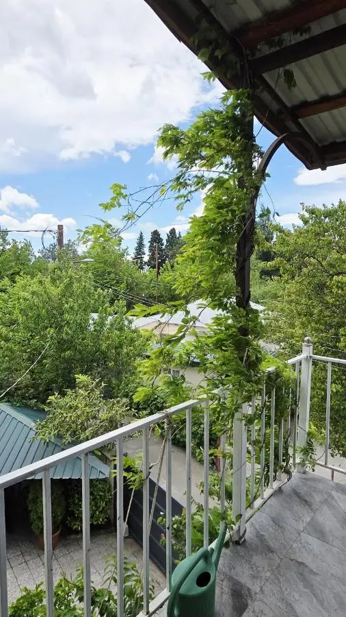 Cozy space in Tbilisi