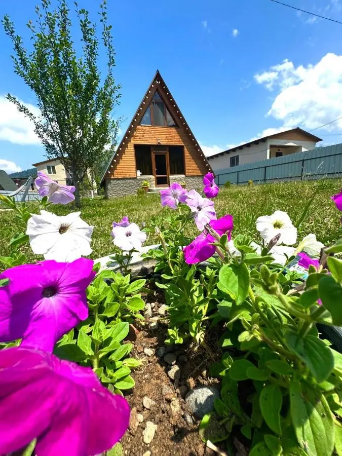 Forest hut
