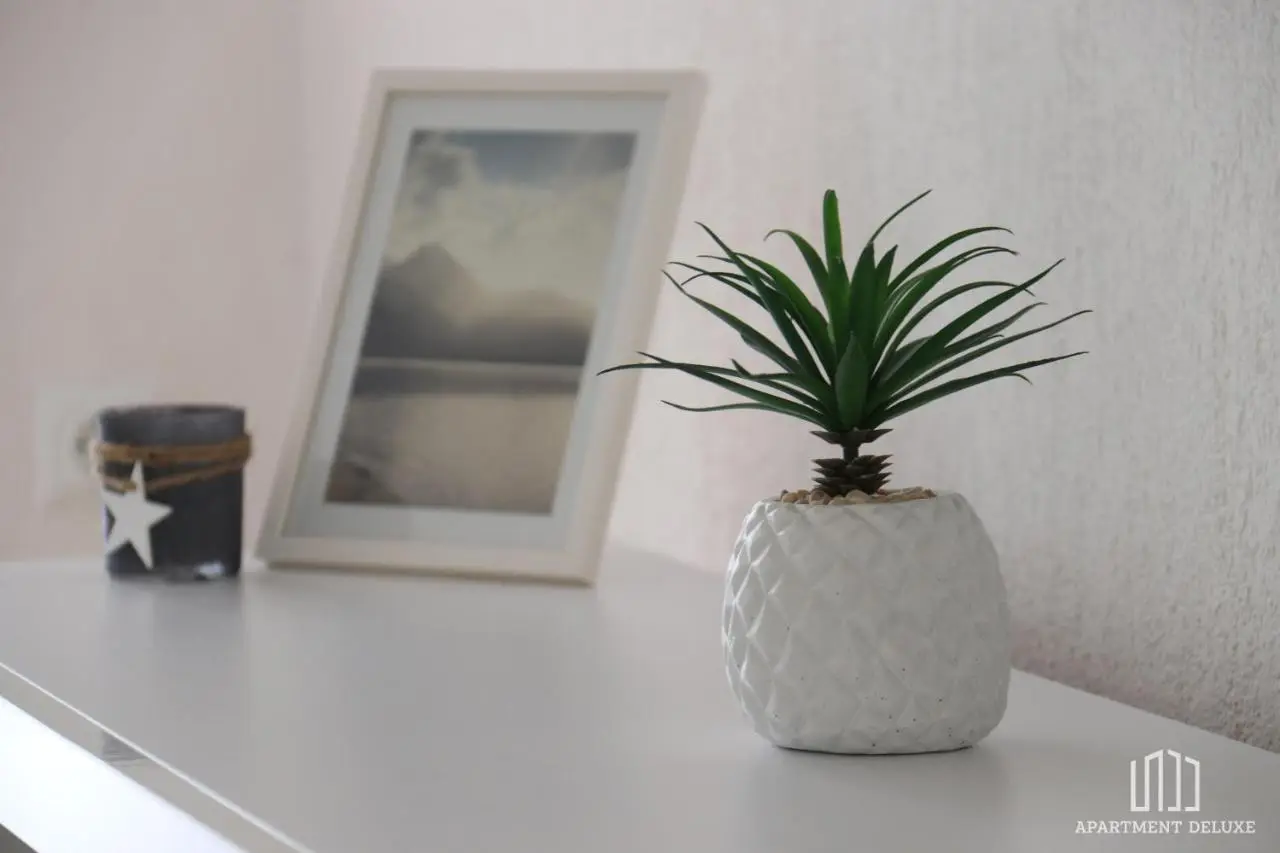 Apartment Deluxe