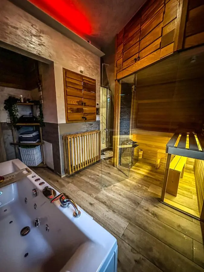 Vila Bašić Vlašić JELEN Spa Apartman Sauna & Jacuzzi
