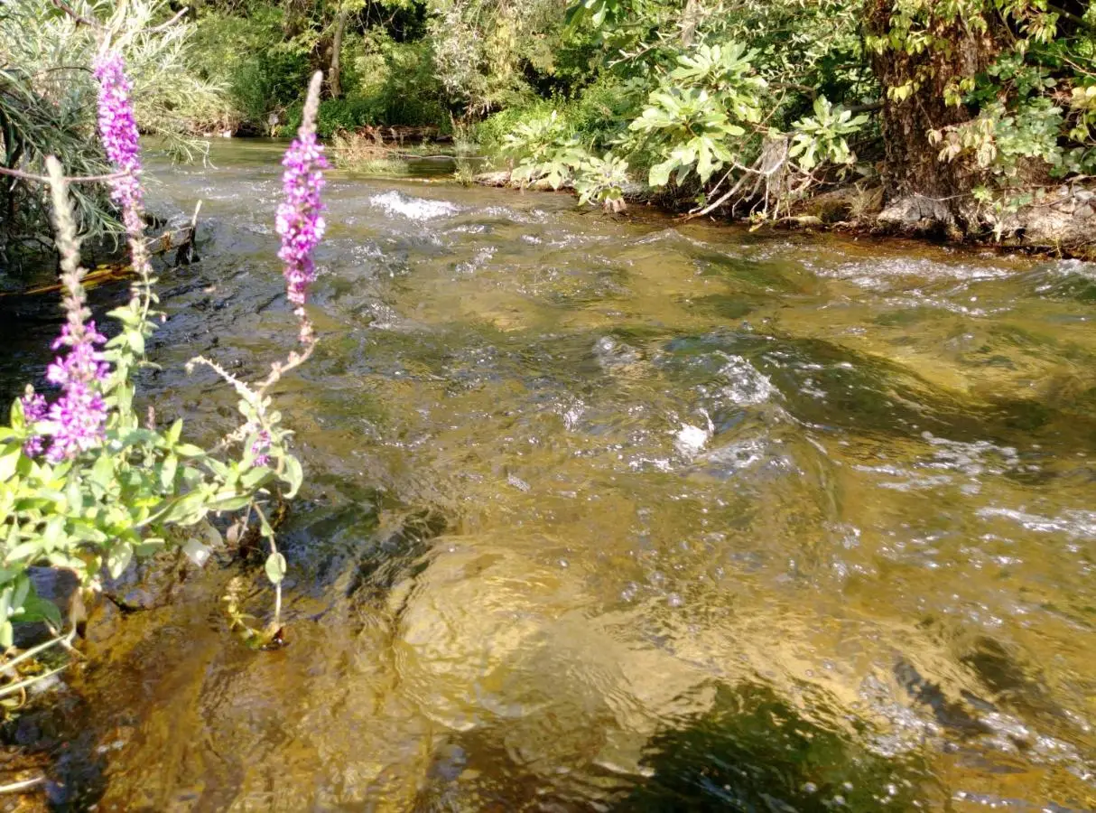 River House Buna