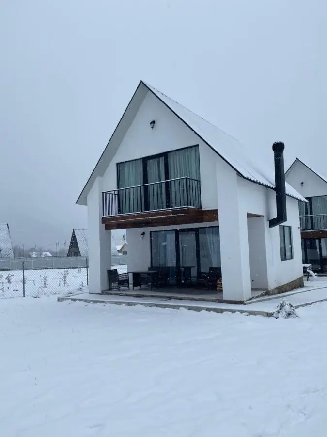 White House near Borjomi Sadgeri