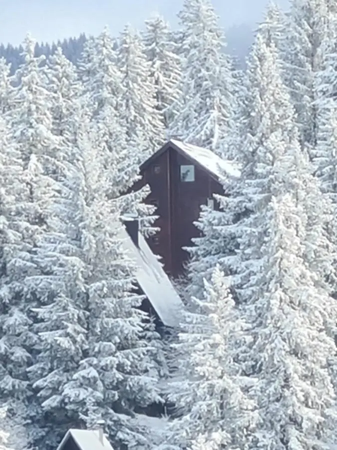 Whispering Pines