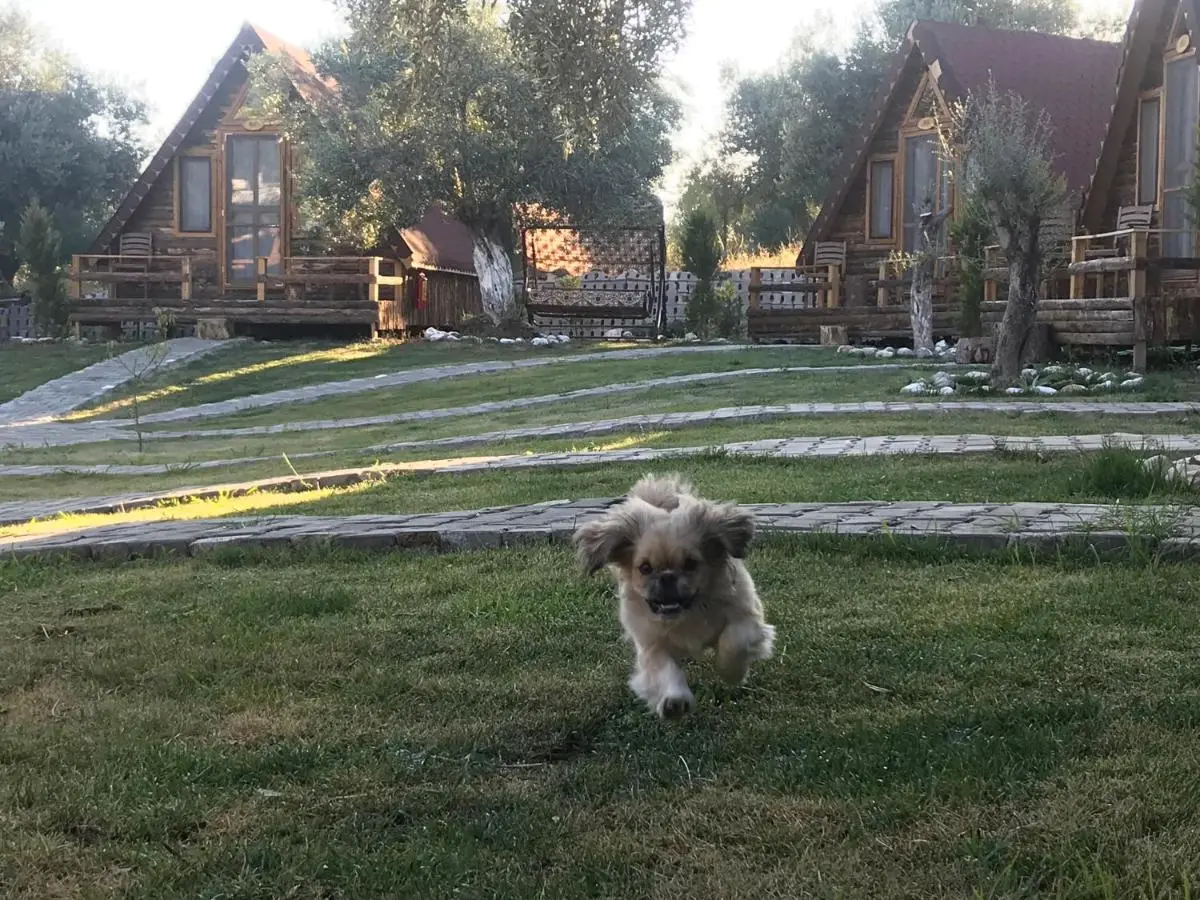 Kazdaglari Ida Natura Bungalov Hotel
