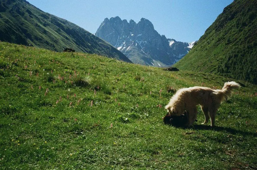 Mtissa